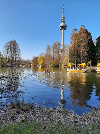 Luisenpark photo