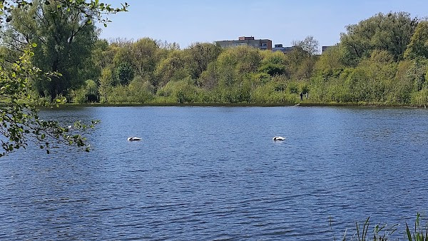 Max Ashmann's Park photo