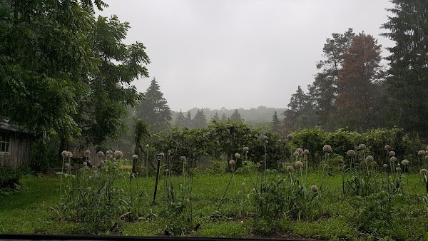 Minisink County Park photo