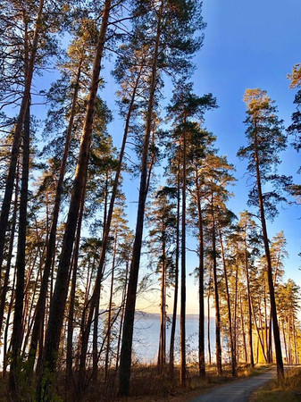Monument Tatishchev VN photo