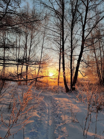 National Park «Elk Island» photo