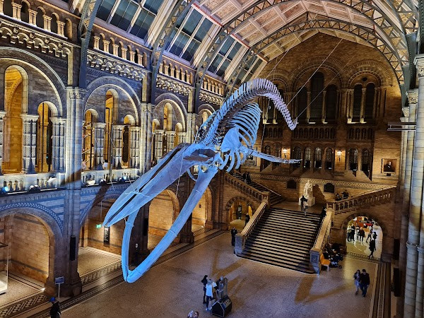 Natural History Museum photo
