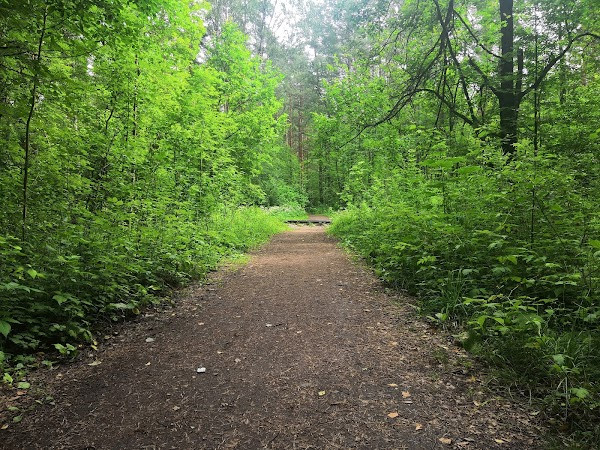 Natural Reserve "Novoorlovsky" photo