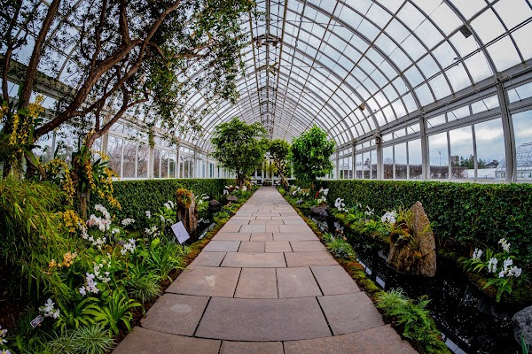 New York Botanical Garden photo