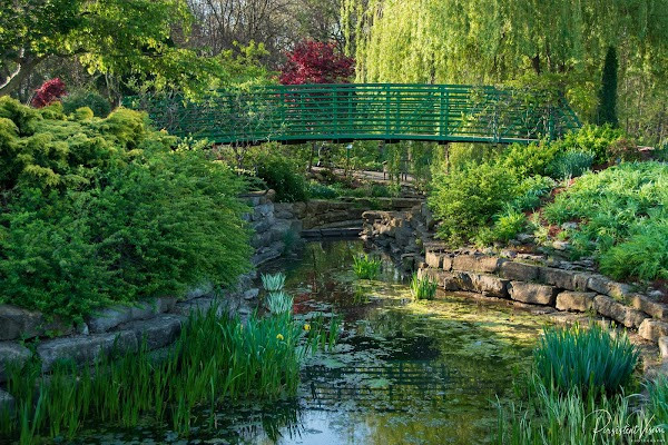 Overland Park Arboretum & Botanical Gardens photo
