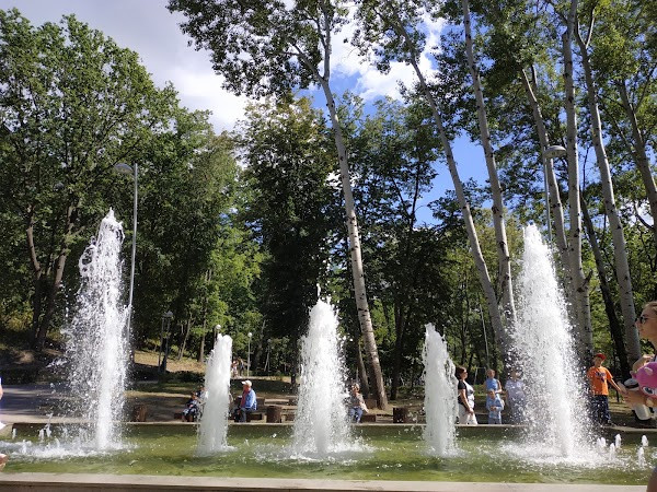 Park Dinamo photo