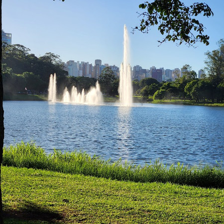 Parque Ibirapuera photo