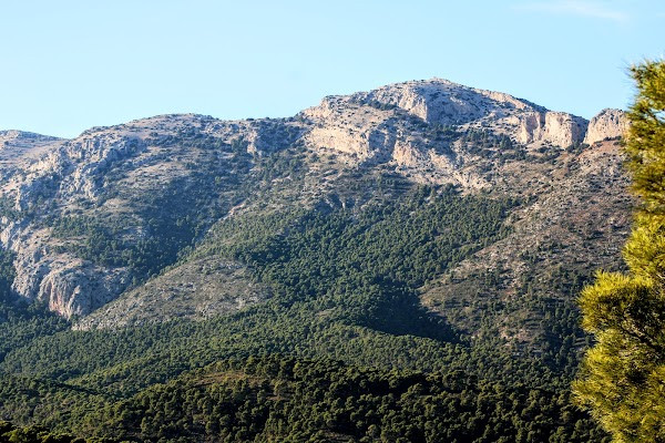 Parque Regional de Sierra Espuña photo