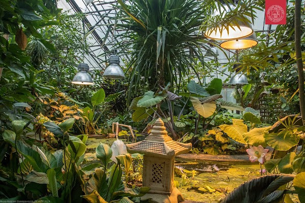 Professor Genkel Botanical Garden of PSU photo