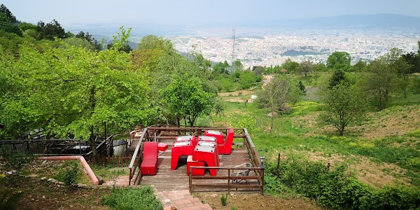 Purpose Meat Grill and Family Tea Garden photo