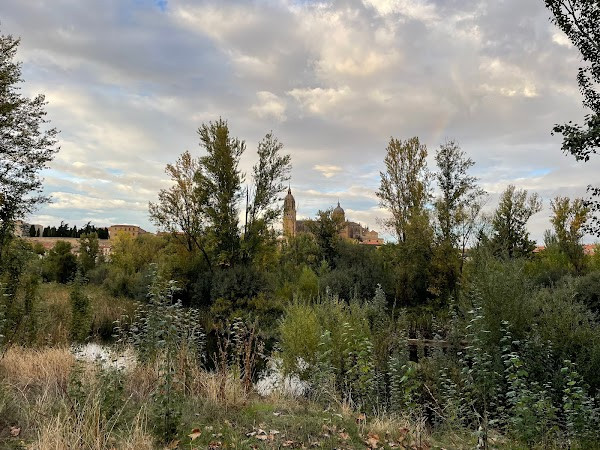 Río Tormes Shorebank photo