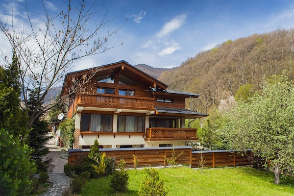 Rezidentsiya Park Shale photo