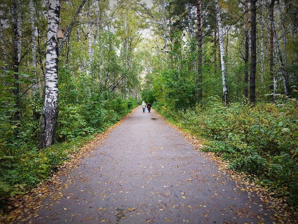 Rotary Park Novosibirsk photo