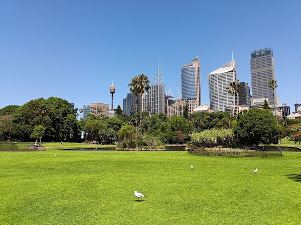 Royal Botanic Garden Sydney photo