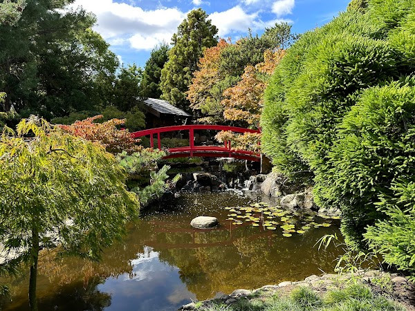 Royal Tasmanian Botanical Gardens photo