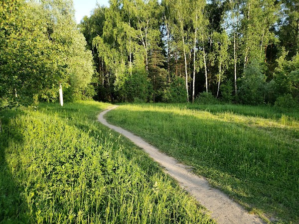 Saltykovsky Forest photo
