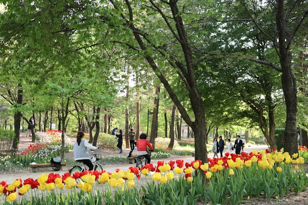 Seoul Forest Park photo