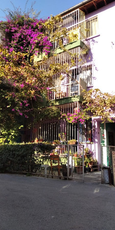 Shantihome Hostel ฤฐzmir photo