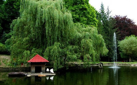 Stryiskyi Park photo