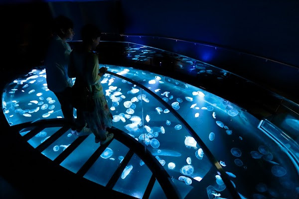 Sumida Aquarium photo