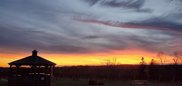 Sunset Meadow Vineyards photo