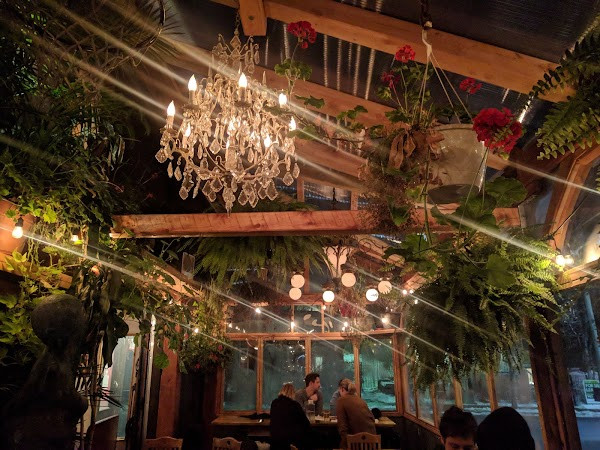 The Local Restaurant and Bar photo