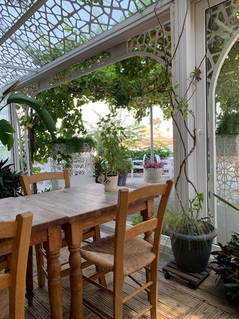 The Palm House photo