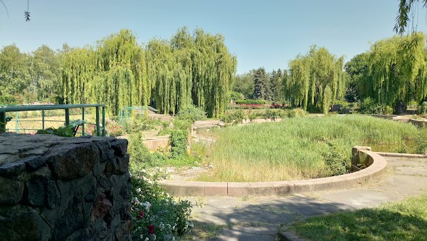 The Rose Garden photo