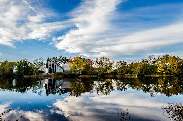 The Ward Museum of Wildfowl Art photo