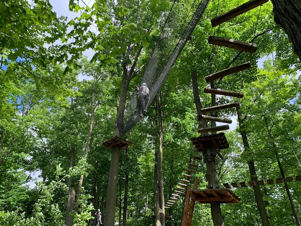 Treetop Trekking Brampton photo