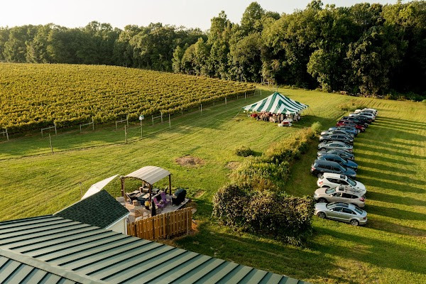 Turkey Point Vineyard photo