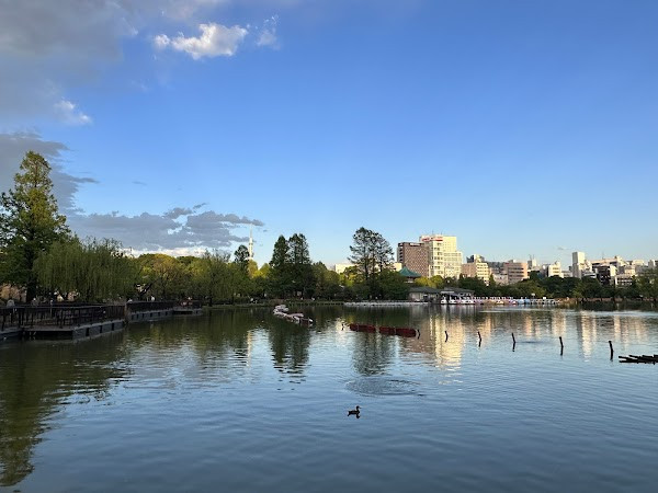Ueno Park photo