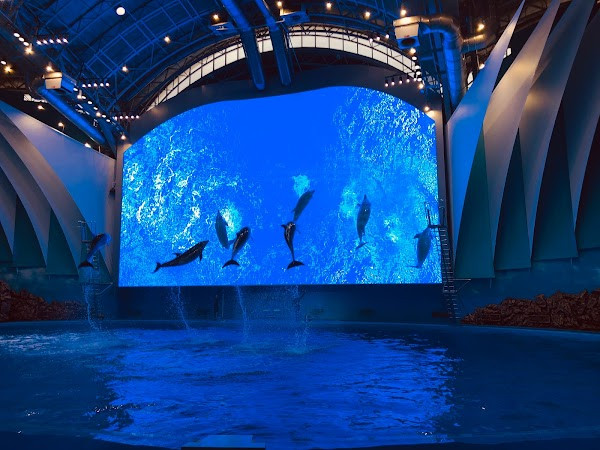 Vladivostokskii Oceanarium photo