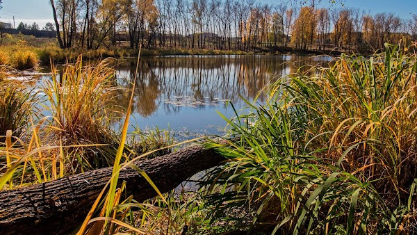 Volga-Kama Nature Reserve photo