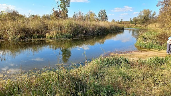 Voronezhskiy Gosudarstvennyy Prirodnyy Biosfernyy Zapovednik Imeni V.m. Peskova photo