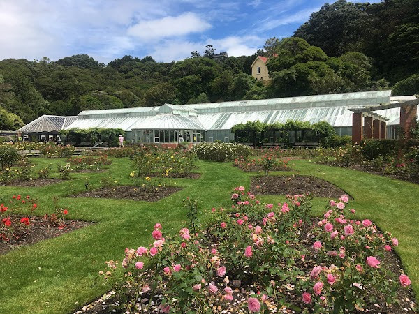 Wellington Botanic Garden photo