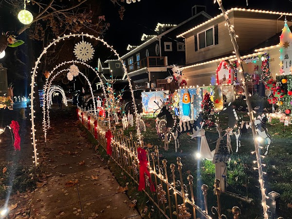 Willow Glen Holiday Lights photo