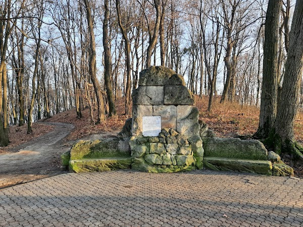 Yuriy Fedkovych Park photo