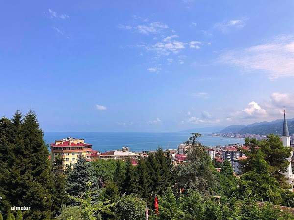 Ziraat Tea Garden photo