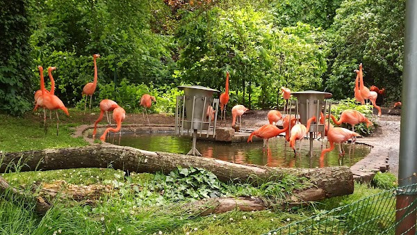 Zoological Gardens Karlsruhe photo
