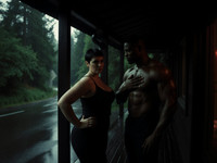 Flux Krea generated image for Cabin in the Woods - Neo Noir