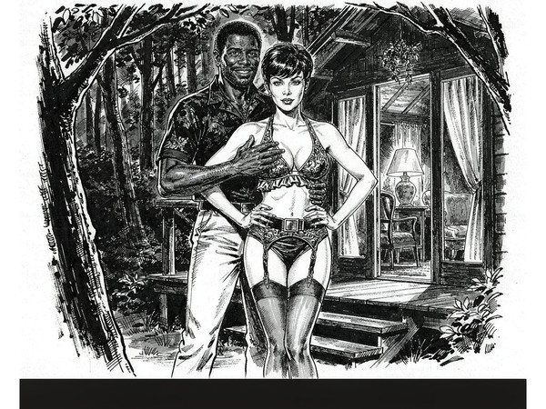 Hunyuan Image 3.5 Preview — Cabin in the Woods — Pulp Ink
