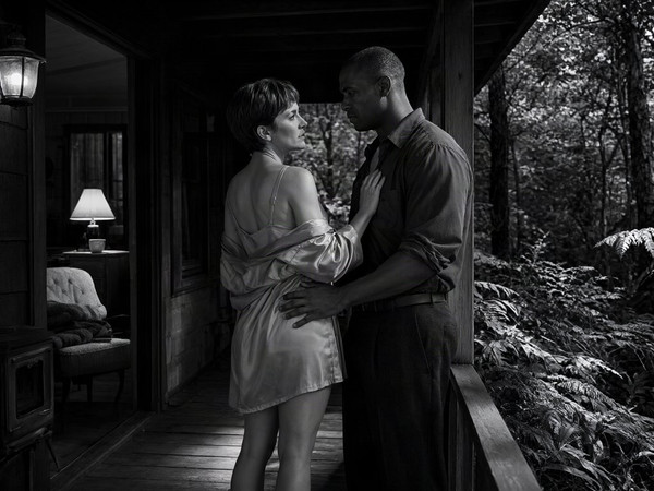 Qwen Image 2.1 — Cabin in the Woods — Film Noir