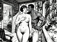 Seedream V4 — Cabin in the Woods — Pulp Ink