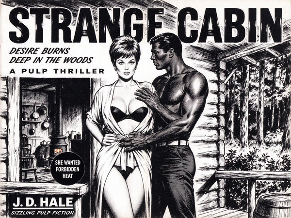Seedream 5.0 Flash — Cabin in the Woods — Pulp Ink