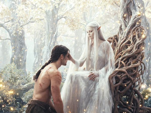 Seedream V5 Lite (NSFW) — The Elven Queen's Champion — Retro