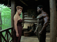 Stable Diffusion V35 Medium generated image for Cabin in the Woods - Dark Fantasy