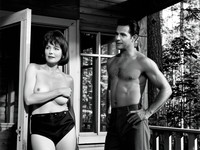 Wan V2.2 A14B generated image for Cabin in the Woods - Film Noir